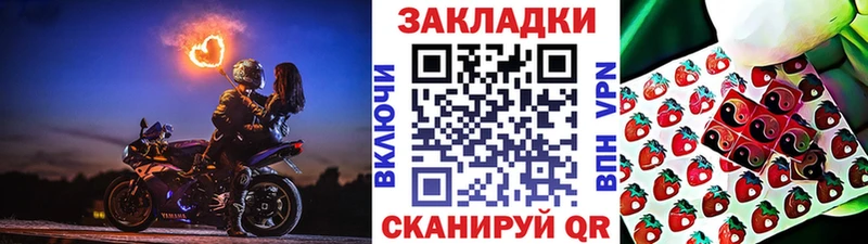 Как найти наркотики Гдов ТГК  Галлюциногенные грибы  ГАШИШ  Меф мяу мяу  APVP 