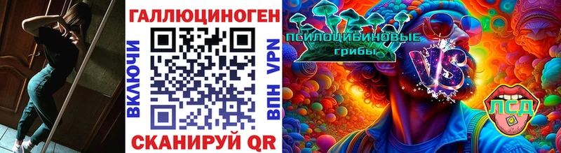 Псилоцибиновые грибы GOLDEN TEACHER магазин продажи наркотиков Гдов