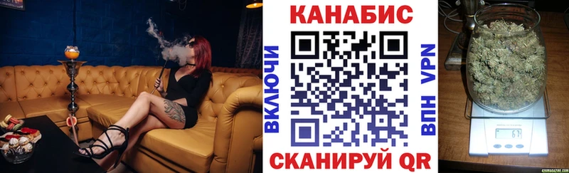 Каннабис OG Kush  Гдов 